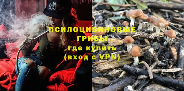 PSILOCYBIN Балахна